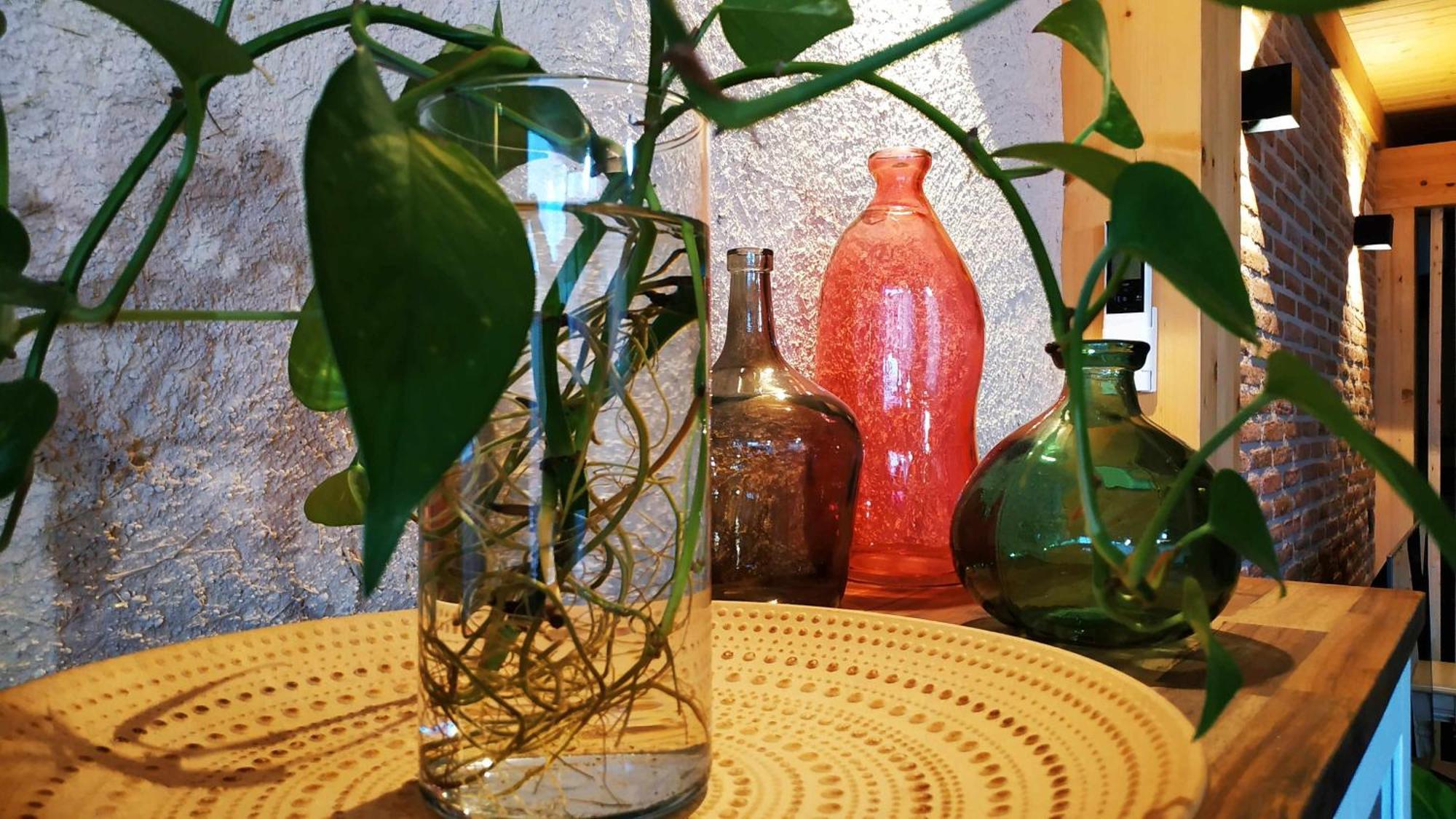 La Mona Casa Rural 鲁埃达 外观 照片